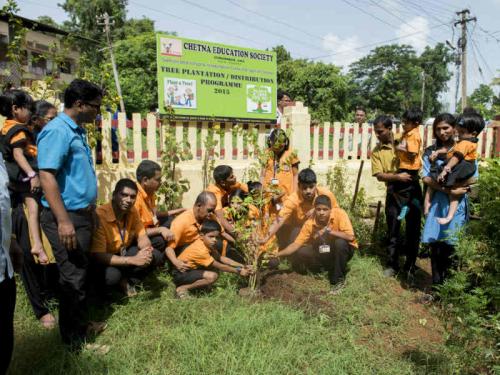 Tree Plantation